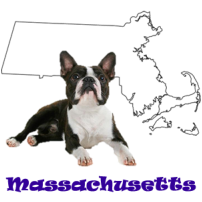 State Dog of Massachusetts
