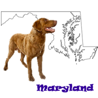 State Dog of Maryland