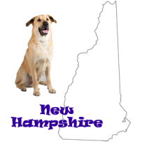 State Dog of New Hampshire