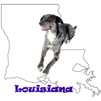 State Dog of Louisiana
