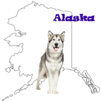 State Dog of Alaska